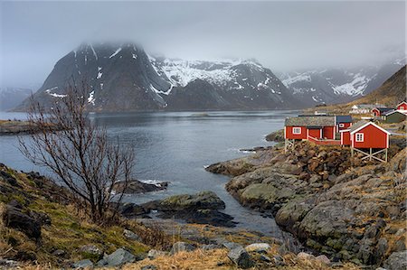 Fishing village at waterfront below snowy, craggy mountains, Hamnoya, Lofoten, Norway Stock Photo - Premium Royalty-Free, Code: 6113-09058833