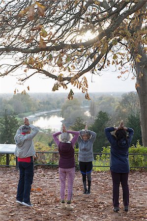 simsearch:693-06018275,k - Active seniors practicing yoga in autumn park Stock Photo - Premium Royalty-Free, Code: 6113-09157562