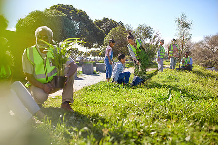 Volunteers planting trees in sunny park Photographie de stock - Premium Libres de Droits, Code: 6113-09240243