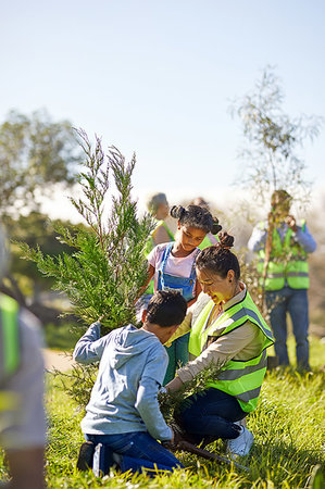 simsearch:859-06808649,k - Family volunteers planting tree in sunny park Stock Photo - Premium Royalty-Free, Code: 6113-09240265