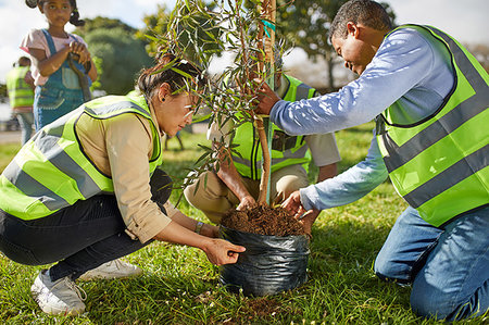 simsearch:859-06808649,k - Volunteers planting tree in park Stock Photo - Premium Royalty-Free, Code: 6113-09240275