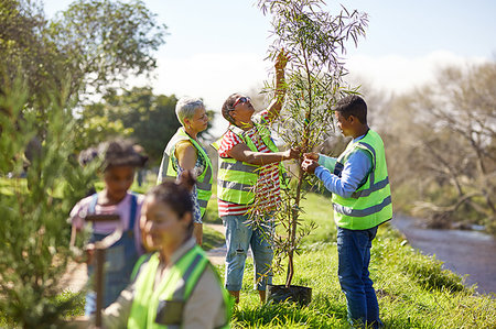 Volunteers planting trees in sunny park Photographie de stock - Premium Libres de Droits, Code: 6113-09240223