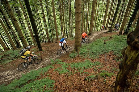 simsearch:6115-06778762,k - Mountain Bikers Riding On Forest Trail, Eschenlohe, Bavaria, Germany Photographie de stock - Premium Libres de Droits, Code: 6115-06778882