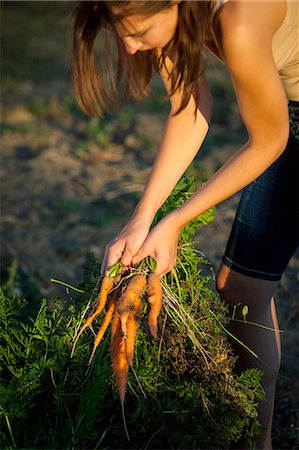 simsearch:6115-06732928,k - Young Woman In Garden Harvesting Carrots, Croatia, Slavonia, Europe Stock Photo - Premium Royalty-Free, Code: 6115-06732947