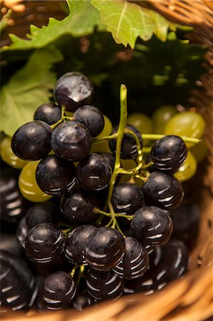 simsearch:6115-06732928,k - Fresh Grapes, Close-up, Croatia, Slavonia, Europe Stock Photo - Premium Royalty-Free, Code: 6115-06732957