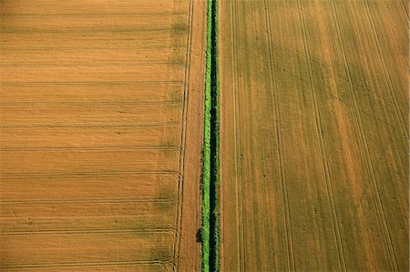 Aerial View, Cornfield, Croatia, Slavonia, Europe Stock Photo - Premium Royalty-Free, Code: 6115-06967245