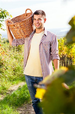 Grape harvest, young man carrying basket, Slavonia, Croatia Stock Photo - Premium Royalty-Free, Code: 6115-07282881