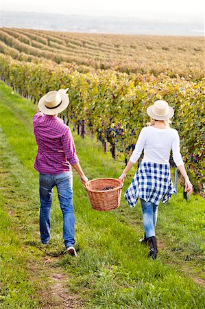 picking - Grape harvest, Young couple carrying basket with grapes, Slavonia, Croatia Stock Photo - Premium Royalty-Free, Code: 6115-07282914