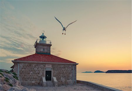 Lighthouse with seagull, Greben, Dubrovnik Stock Photo - Premium Royalty-Free, Code: 6115-08066597