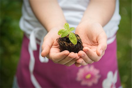 simsearch:6115-07282765,k - Little girl gardening, holding seedling in hands Stock Photo - Premium Royalty-Free, Code: 6115-08100448