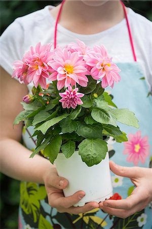 simsearch:6115-07282765,k - Girl holding pot with flowers in hands Stock Photo - Premium Royalty-Free, Code: 6115-08100452