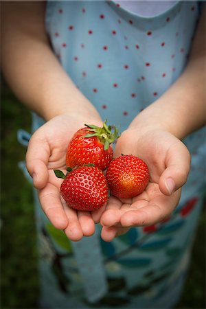 simsearch:6115-07282765,k - Little girl holding strawberries in her hands, close-up Stock Photo - Premium Royalty-Free, Code: 6115-08100433