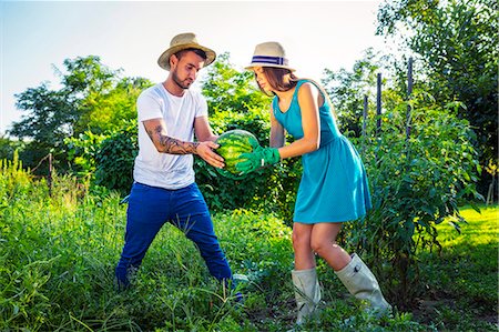 simsearch:6115-06732928,k - Young couple harvesting watermelons in vegetable garden Stock Photo - Premium Royalty-Free, Code: 6115-08100789