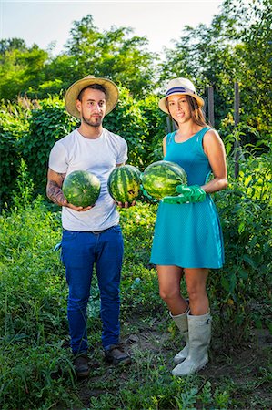 simsearch:6115-06732928,k - Young couple harvesting watermelons in vegetable garden Stock Photo - Premium Royalty-Free, Code: 6115-08100790