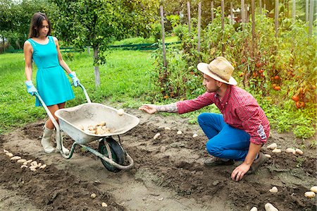 simsearch:6115-06732928,k - Young couple harvesting potatoes in vegetable garden Stock Photo - Premium Royalty-Free, Code: 6115-08100796