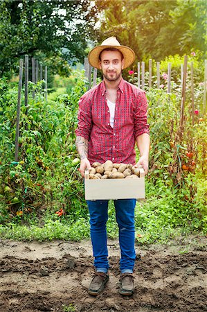 simsearch:6115-06732928,k - Young man harvesting potatoes in vegetable garden Stock Photo - Premium Royalty-Free, Code: 6115-08100801