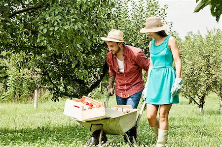simsearch:6115-06732928,k - Young couple with wheelbarrow in vegetable garden Stock Photo - Premium Royalty-Free, Code: 6115-08101161