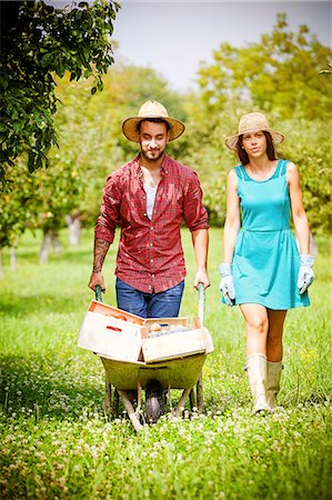 simsearch:6115-06732928,k - Young couple in vegetable garden, man pushing wheelbarrow Stock Photo - Premium Royalty-Free, Code: 6115-08101180