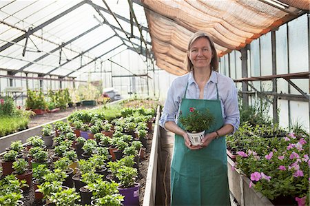 Female gardener in greenhouse Stock Photo - Premium Royalty-Free, Code: 6115-08239169