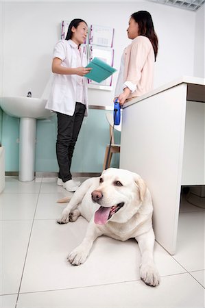 simsearch:6116-07086677,k - Woman with pet dog in veterinarian's office Stock Photo - Premium Royalty-Free, Code: 6116-07086643