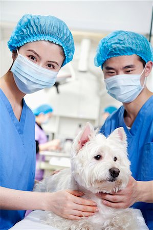 simsearch:6116-07086677,k - Veterinarians with dog Stock Photo - Premium Royalty-Free, Code: 6116-07086658