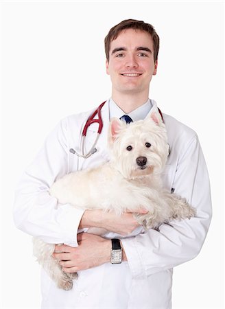 simsearch:6116-07086677,k - Portrait of veterinarian holding a dog, studio shot Stock Photo - Premium Royalty-Free, Code: 6116-07086690