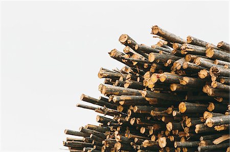 sawmill wood industry - A Stack Of Cut Timber Logs, Lodge Pole Pine Trees At A Lumber Mill. Stock Photo - Premium Royalty-Free, Code: 6118-07122099