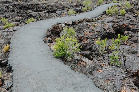 start growing plant - A Paved Pathway Through The Lava Fields Of The Craters Of The Moon National Monument And Preserve In Butte County Idaho. Sagebrush Plants Growing. Stock Photo - Premium Royalty-Free, Code: 6118-07122101