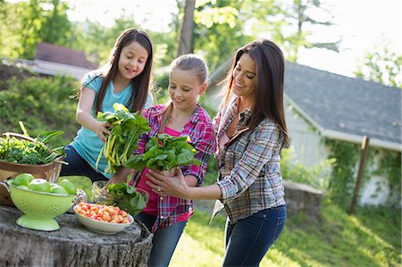 simsearch:6118-07122184,k - Organic Farm. Summer Party. Two Young Girls And A Young Adult Preparing Salad Leaves For A Buffet. Stock Photo - Premium Royalty-Free, Code: 6118-07122131