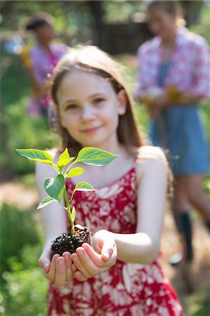 family backyard gardening not barbeque - Garden. A Young Girl Holding A Young Plant With Green Foliage And A Healthy Rootball In Her Hands. Photographie de stock - Premium Libres de Droits, Code: 6118-07122231