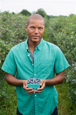 simsearch:6118-07441027,k - Organic fruit orchard. A man picking blueberries, Cyanococcus, fruit. Photographie de stock - Premium Libres de Droits, Code: 6118-07203045