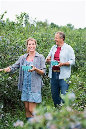 simsearch:6118-07441027,k - An organic fruit farm. A mature couple picking the berry fruits from the bushes. Photographie de stock - Premium Libres de Droits, Code: 6118-07203086