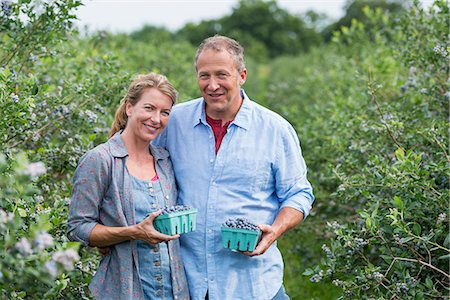 simsearch:6118-07441027,k - An organic fruit farm. A mature couple picking the berry fruits from the bushes. Photographie de stock - Premium Libres de Droits, Code: 6118-07203096