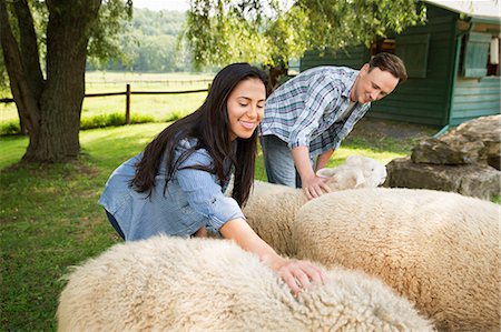 simsearch:6118-07354442,k - An organic farm in the Catskills. Two people in a paddock with two large sheep. Stock Photo - Premium Royalty-Free, Code: 6118-07203341