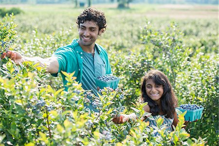 simsearch:6118-07203696,k - A young girl and a man standing surrounded by blueberry plants, harvesting the berries. Stock Photo - Premium Royalty-Free, Code: 6118-07203393