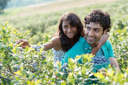 simsearch:6118-07203696,k - People picking fresh blueberries from the organic grown plants in a field. Stock Photo - Premium Royalty-Free, Code: 6118-07203394