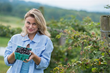 simsearch:6118-07203696,k - Picking blackberry fruits on an organic farm. A woman holding out a full punnet of glossy berries. Stock Photo - Premium Royalty-Free, Code: 6118-07203682