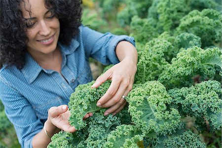 simsearch:6118-07203696,k - An organic vegetable farm. A woman working among the crisp curly kale crop. Stock Photo - Premium Royalty-Free, Code: 6118-07203697