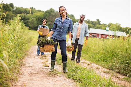 simsearch:6118-07203696,k - Three people working on an organic farm. Walking along a path carrying baskets full of vegetables. Stock Photo - Premium Royalty-Free, Code: 6118-07203861