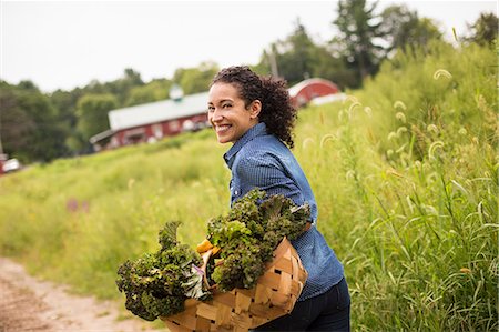 Working on an organic farm. A woman carrying a basket overflowing with fresh green vegetables, produce freshly picked. Foto de stock - Sin royalties Premium, Código: 6118-07203882