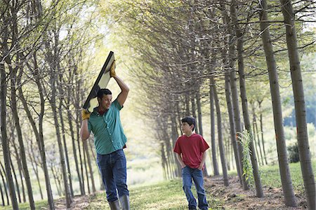 simsearch:6118-07353446,k - A man carrying a solar panel down an avenue of trees, accompanied by a child. Stock Photo - Premium Royalty-Free, Code: 6118-07235104