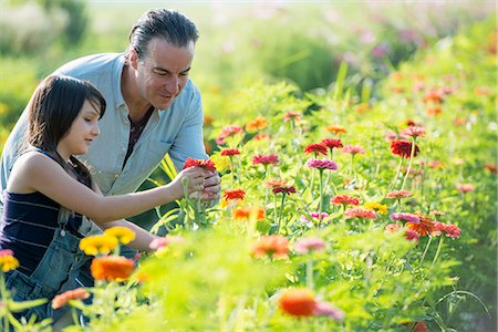 simsearch:6118-07351124,k - Summer on an organic farm. A man and a girl in a field of flowers. Stock Photo - Premium Royalty-Free, Code: 6118-07351114