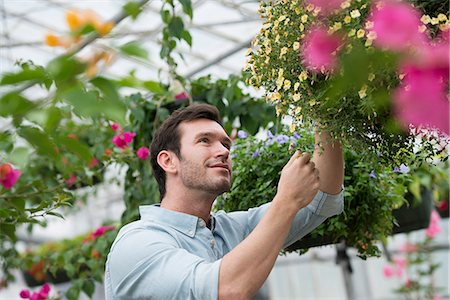 simsearch:6113-07242242,k - An organic flower plant nursery. A man working, tending the plants. Foto de stock - Sin royalties Premium, Código: 6118-07351251