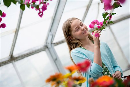 simsearch:6113-07242242,k - An organic flower plant nursery. A young girl looking at the flowers. Foto de stock - Sin royalties Premium, Código: 6118-07351262