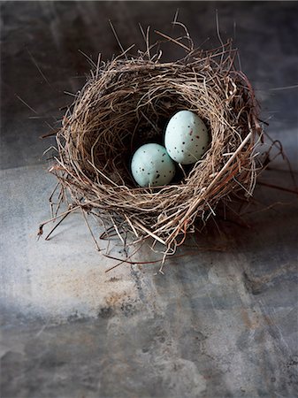 A small intricately woven bird's nest. Two small turquoise eggs. Stock Photo - Premium Royalty-Free, Code: 6118-07351992