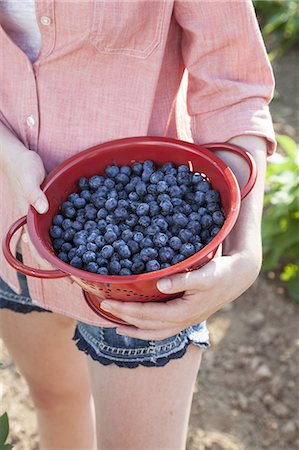 A girl in a pink shirt holding a large bowl of harvested blueberry fruits. Stock Photo - Premium Royalty-Free, Code: 6118-07351914