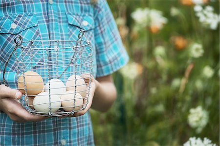 simsearch:6118-07353446,k - A person holding a basket of freshly laid hen's eggs, of varying colours. Stock Photo - Premium Royalty-Free, Code: 6118-07352057