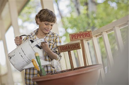 plant grow seed - A child holding a watering can, watering a  pot with newly planted tomato and pepper seeds. Stock Photo - Premium Royalty-Free, Code: 6118-07352165