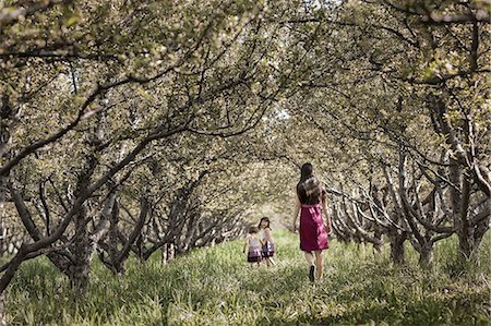 simsearch:673-02801432,k - Two children and an older girl walking in a woodland tunnel of overarching tree branches. Stock Photo - Premium Royalty-Free, Code: 6118-07352175