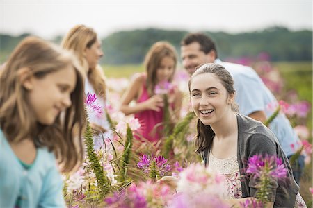 A group of people among the flowers at an organic Flower Farm. Stock Photo - Premium Royalty-Free, Code: 6118-07352579